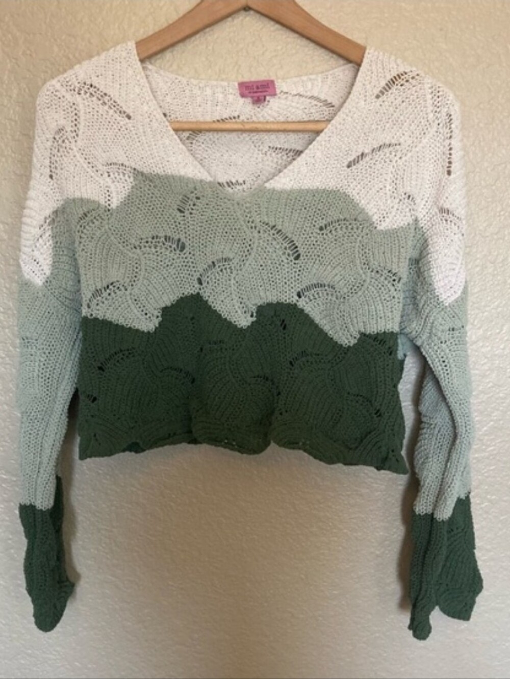 NWT Francesca's Collections V-Neck Crochet Sweater in Cream, Sage & Olive Size S